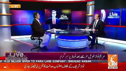 Nawaz Sharif put half the blame on his father and rest on his children - Hammad Azhar