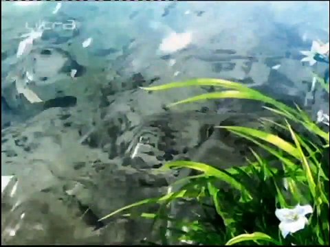 Potraga za Deltorom epizoda 7 Čarobnica Tegan