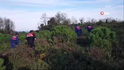 Şile'de Büyükbaş Hayvanları Çalan 5 Hırsız Tutuklandı