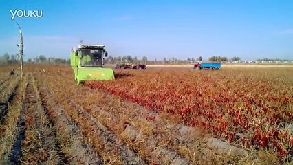 This Is Exactly How Long Sex Should Last