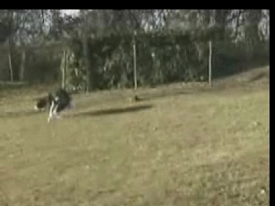 Aston-02-01-08