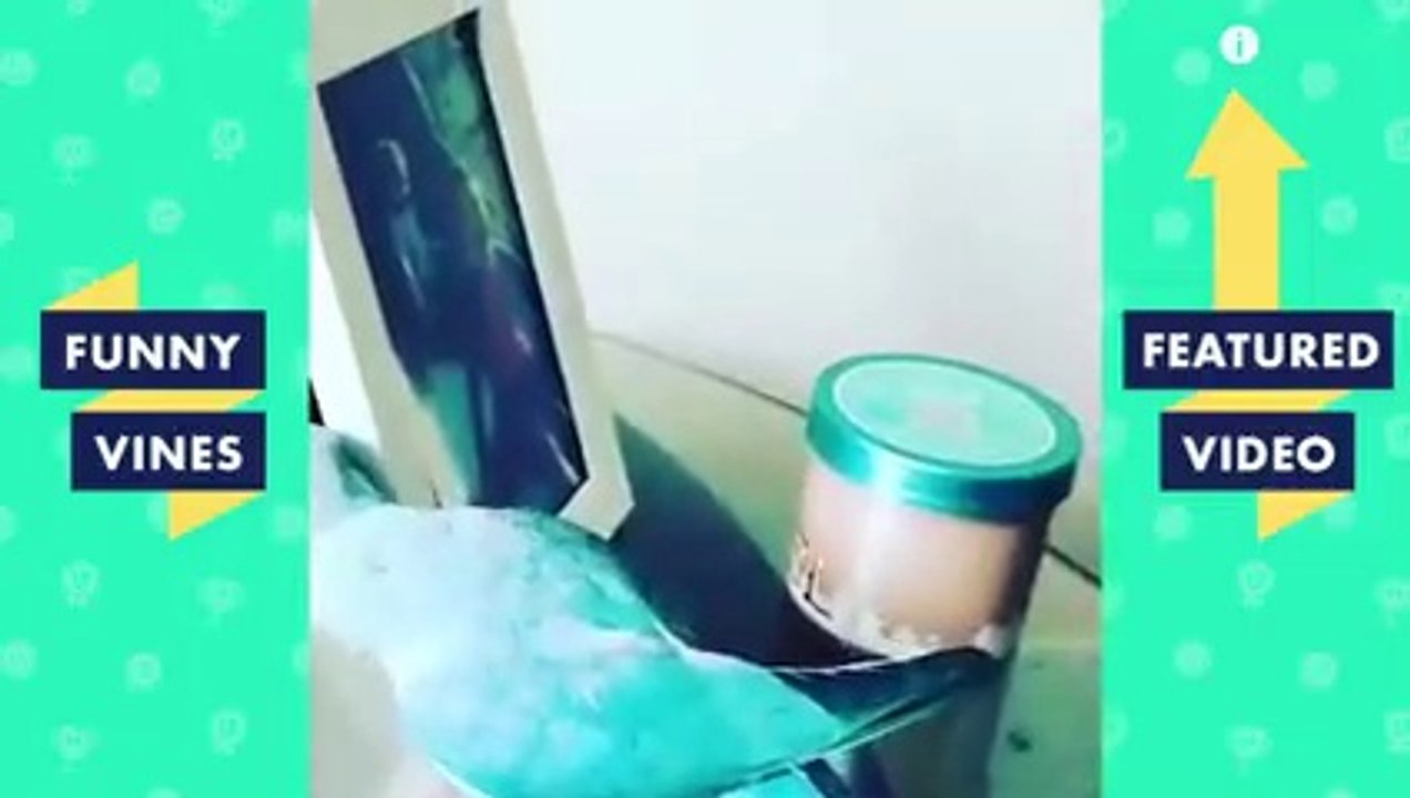 TRY NOT TO LAUGH Funny Pet Videos!  November 2018
