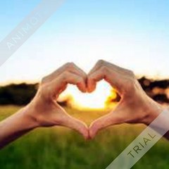 Supplements Angles - Your First Step To Fitness