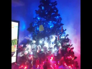 LES SAPINS DES TRETSOIS 2018