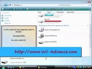 Sauvegarde Wii / Wii Save Game