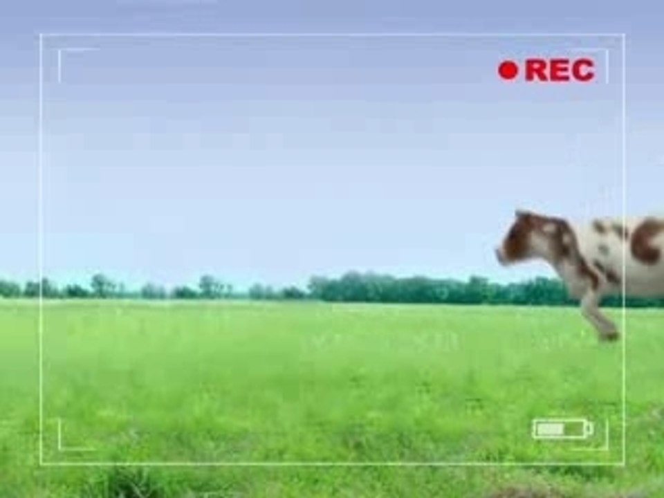 Bunnies_cant_milk_cows