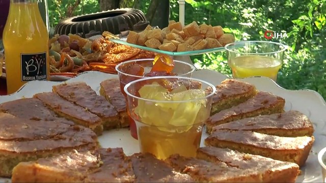 Bodrum Mandalina Hasat Festivali başlıyor