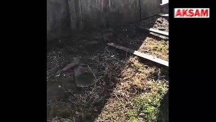 Kaldıkları kabinin altından  çıkanlar dehşete düşürdü