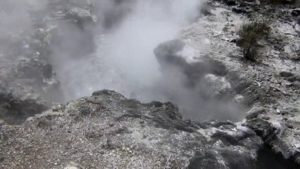 Wahka Thermal. Rotorua, NZ, Dec 2018