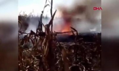 Vali ve senatör eşi helikopter kazasında hayatını kaybetti