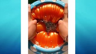 If you're not satisfied you're NOT HUMAN ! VERY satisfying (slime & more)