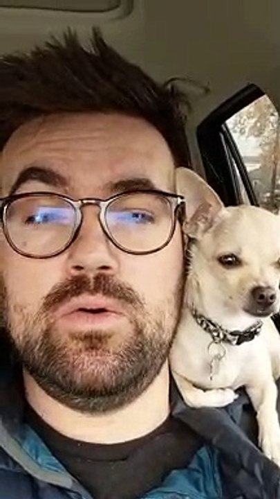 Quand un Chihuahua chante Jingle Bells