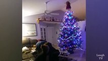 Special Christmas Fail Compilation - 2018 ( 720 X 1280 )