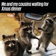 Just hurry up already 