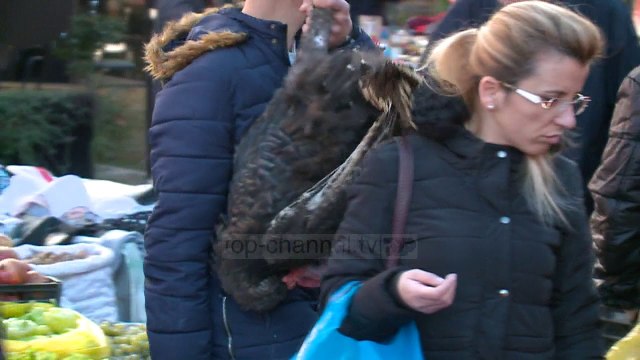 Në gjykatë shtohen rastet e vjedhjes së shpendëve - Top Channel Albania - News - Lajme