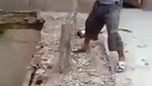 Funny short video