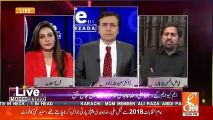 Fayaz Ul Hassan Chohan Response On Who Cold Be Behind The Assassination Of Ali Raza Abidi..