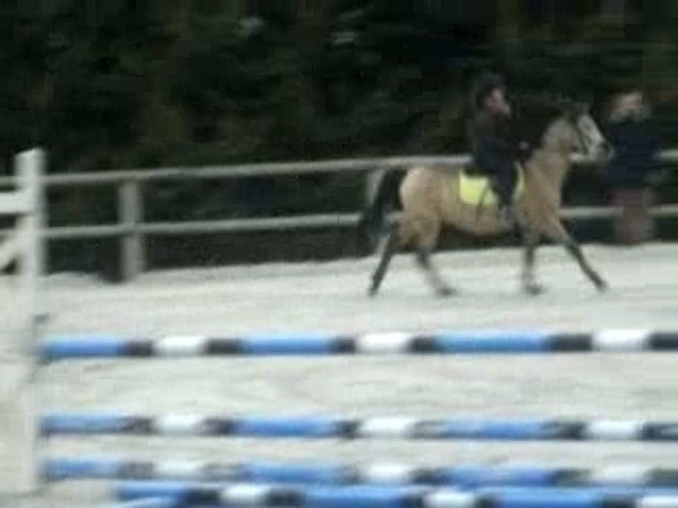 Poney