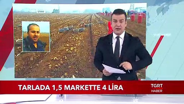 Patates Tarlada 1,5 Markette 4 Lira