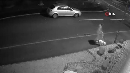 Köpeğini Terk Etti, Binlerce Kişi Sahiplenmek İstedi
