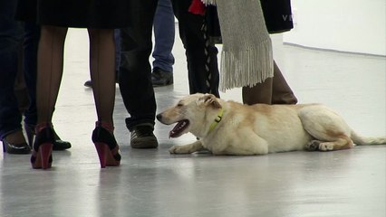 VTV Classics (r3): Tatiana Trouvé at Migros Museum Zürich (2009)