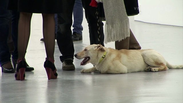 VTV Classics (r3): Tatiana Trouvé at Migros Museum Zürich (2009)