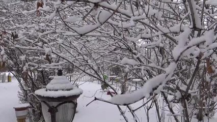 Dede ve Torunun Kar Topu Eğlencesi