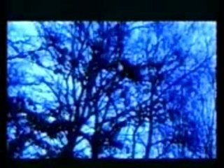Dragana Mirkovic - Placi zemljo