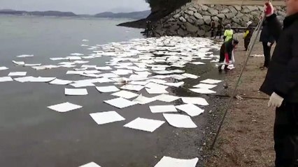 충남 홍성 죽도에 기름 유출...원인 조사 중 / YTN