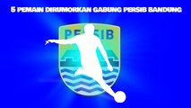 5 Pemain yang Dikabarkan akan Segera Gabung Persib Bandung, Wesley Sneijder Salah Satunya