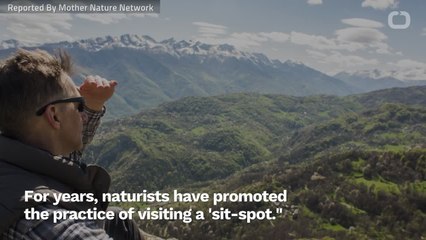 How Make Your Life Better By Sitting Down Outside