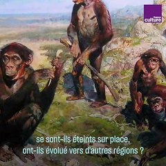 Découverte archéologique : l'Algérie, un autre berceau de l'humanité ?