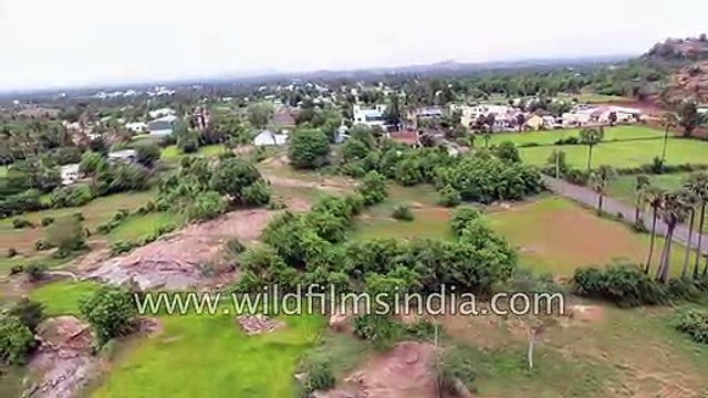 Eastern Ghats flight over highways, banana farms, cleared shola forests along Coromandel Coast
