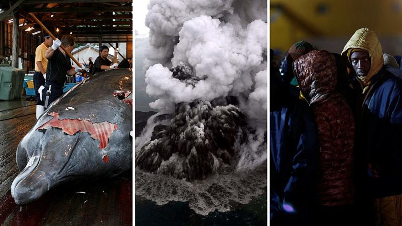 Whale hunting; Sicily earthquake; and Indonesia search | Five stories to know about today