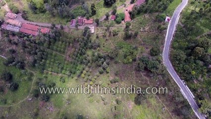 Eastern Ghats shola forests and tea gardens- aerial footage along South India Coromandel coast