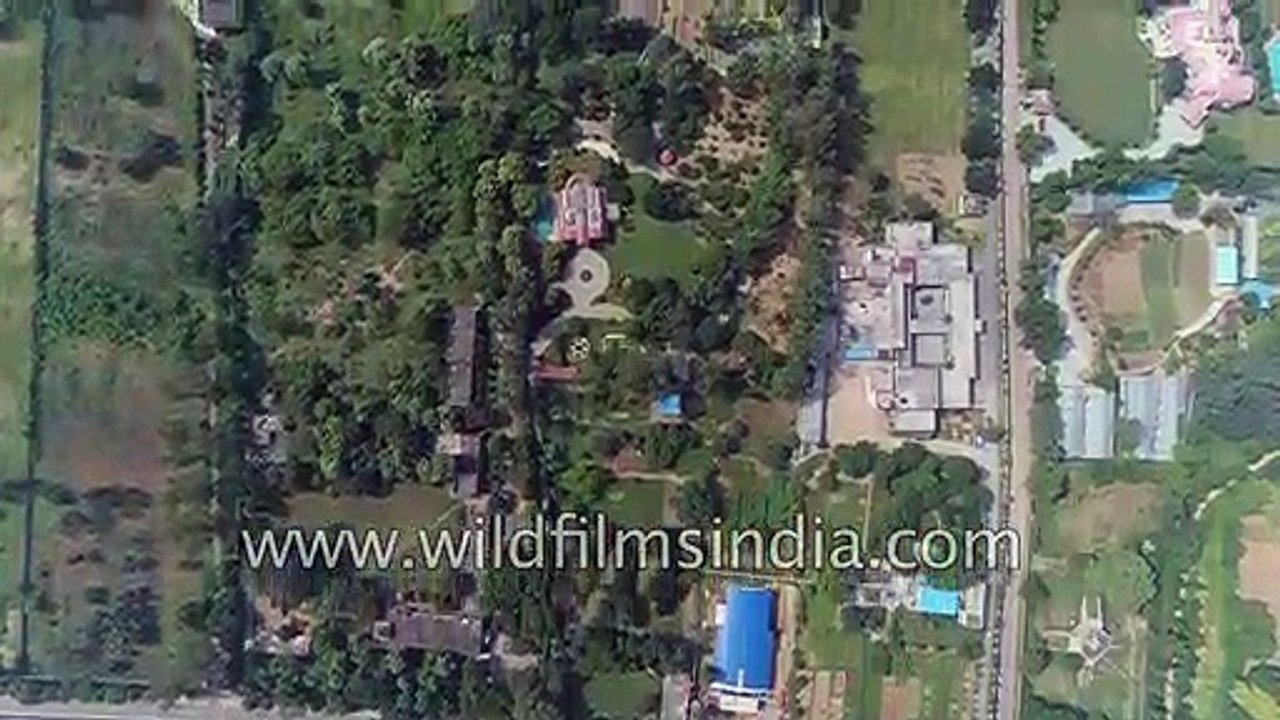 Farm houses of South Delhi- green gardens and pools