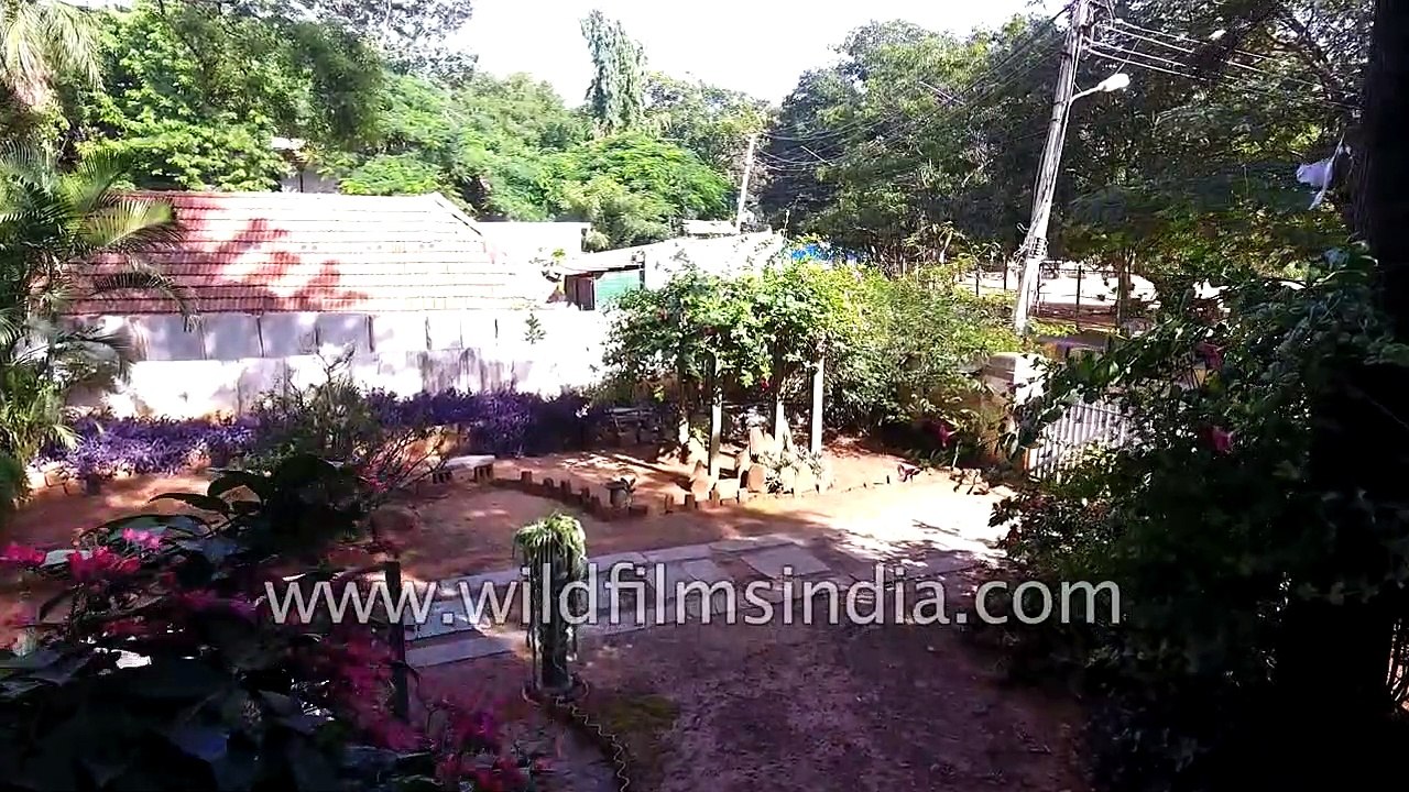Glorious old Bangalore home in Whitefield gets closed in by IT developments- aerial view