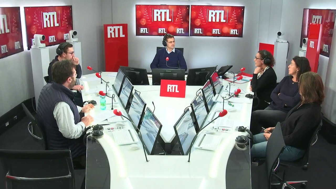 Nourriture, boissons, décorations... : prudence avec les animaux pendant les fêtes