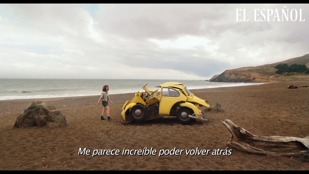 Bumblebee