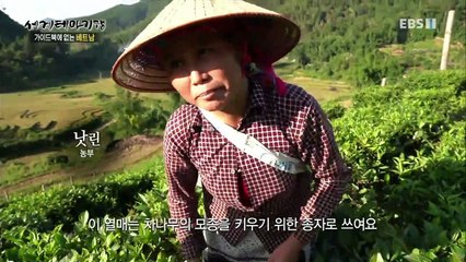 세계테마기행 - 가이드북에 없는 베트남 3부- 아름다움 속의 눈물_#001