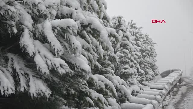 Kocaeli'nde Yağan Karın Tadını Kartopu Oynarak Çıkardılar