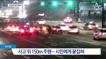 뮤지컬 배우 손승원, 음주 뺑소니…윤창호법 1호 연예인