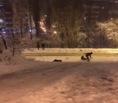 Ankara'da Karın Keyfini Kayarak Çıkarmaya Çalışan Genç Yokuştan Uçtu