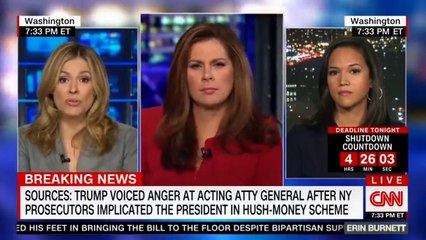 HOURS AWAY FROM A GOVERNMENT SHUTDOWN AS TRUMP IS NOW TOUTING A BEAUTIFUL STEEL SLAT BARRIER WITH SPIKES