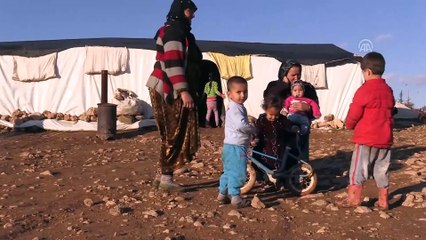 Daily life of nomadic families in Sanliurfa