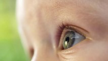 Couleur des yeux de bébé : quand est-on fixé ?
