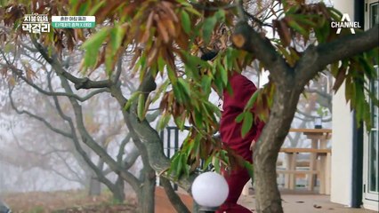 요리왕 SNSD 유리 아침으로 커리를 준비하는데!! (ft. 티격태격 이종혁X손태영)