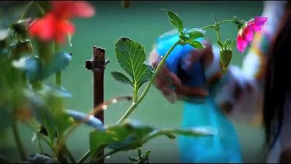 Aas - Title Song - PTV Home