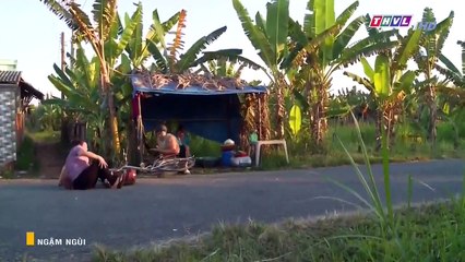 Ngậm Ngùi Tập 28 - Phim Việt Nam THVL1 - Phim Ngam Ngui Tap 28 - Ngam Ngui Tap 29