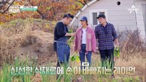 지막리 텃밭에 입성한 레이먼 킴! 역시 쉐프라 설명도 다르다 달라~! (a.k.a 채소 사냥꾼)